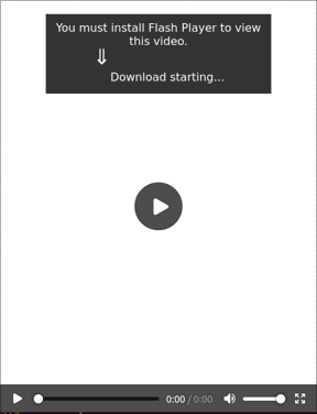 Flash campaign page